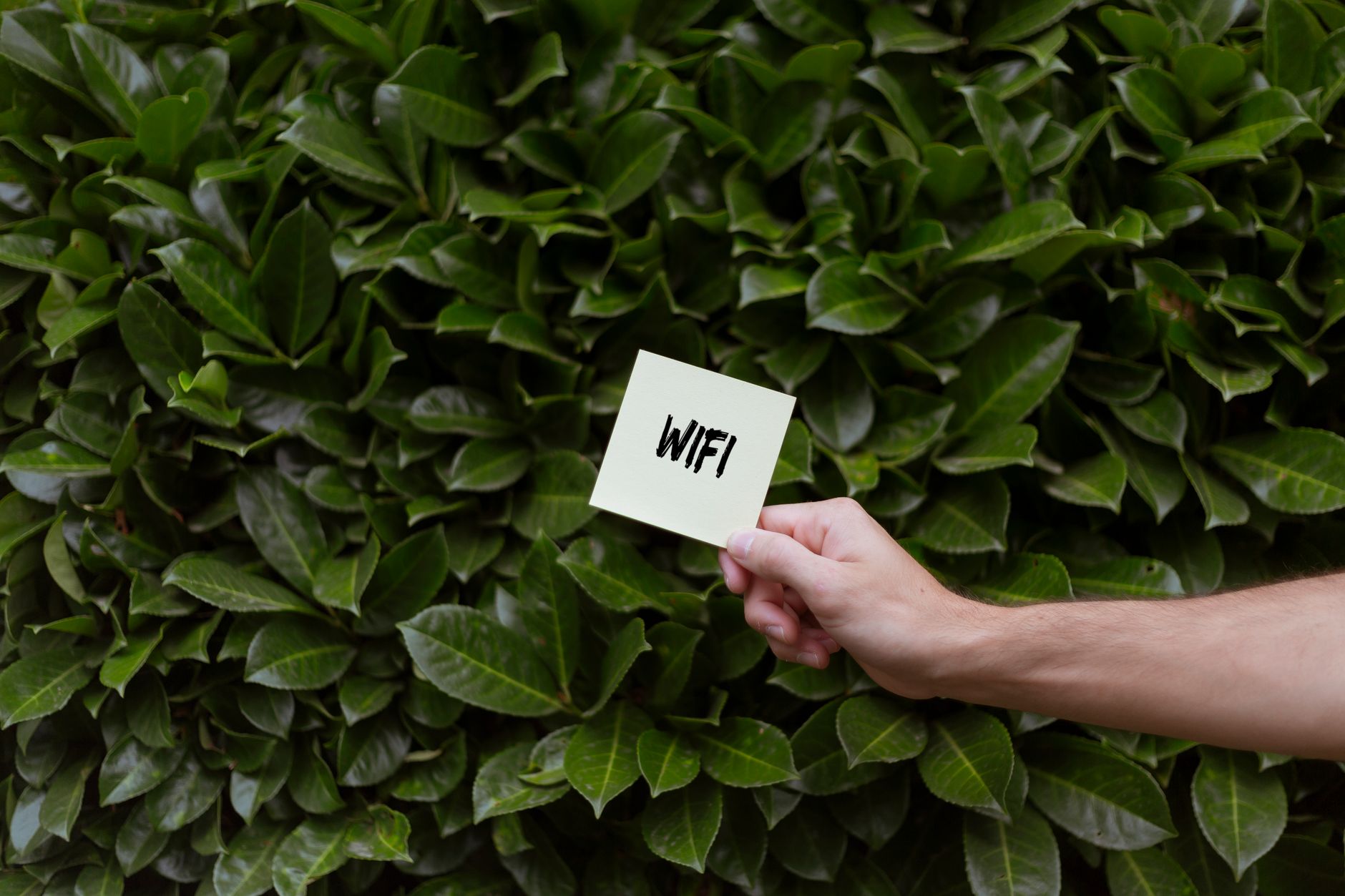 Does RTK Robot Mower Need WiFi? The Straight Answer 1 Illustration for: Does RTK Robot Mower Need WiFi? The Straight Answer