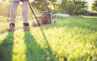 Does LiDAR Robot Mower Work Under Trees? A Clear Answer
