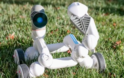 How Robot Lawn Mowers Navigate: A Complete Guide