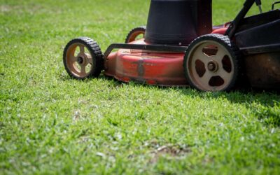 How Does a Robot Lawn Mower Cut Grass?
