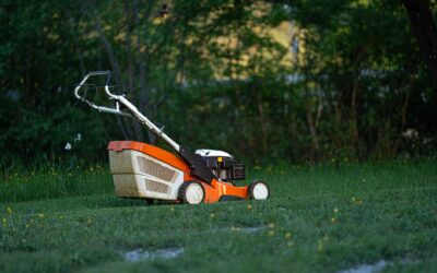 How Often Should a Robot Lawn Mower Run?