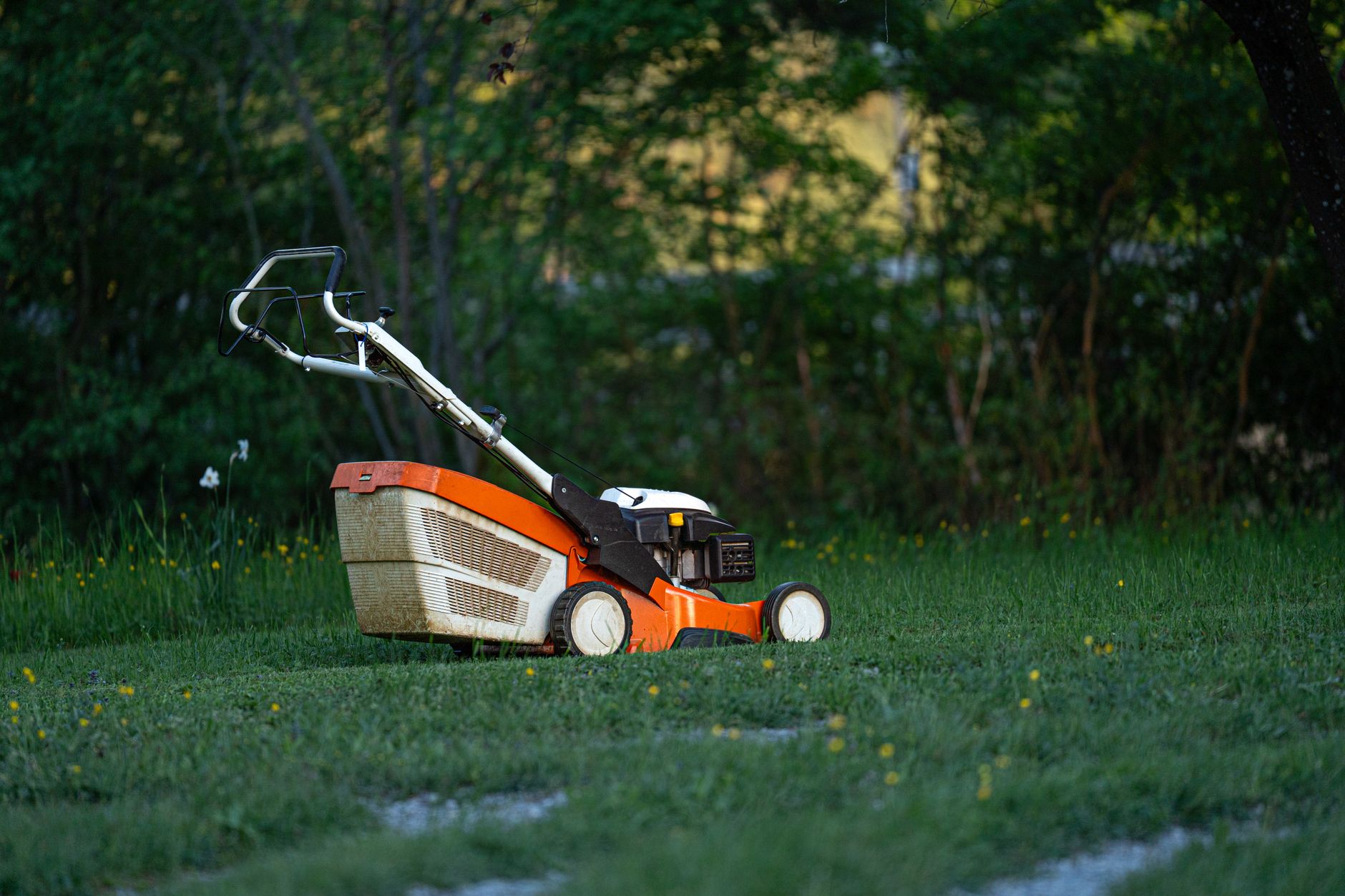 Illustration for: How Often Should a Robot Lawn Mower Run in 2026?