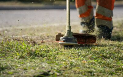 What Actually Limits a Robot Mower on Your Lawn