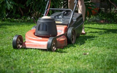 Robot Lawn Mower Without GPS: What You Need to Know