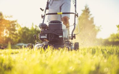 How Does GPS Robot Lawn Mower Work